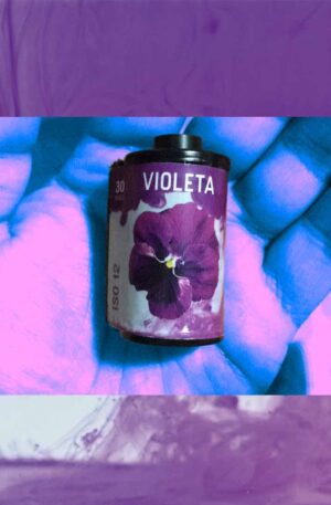 Violeta – 12