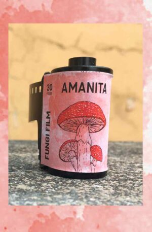 Amanita – 50