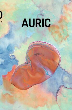 AURIC – 250