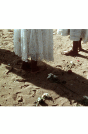 Janela (Scan)