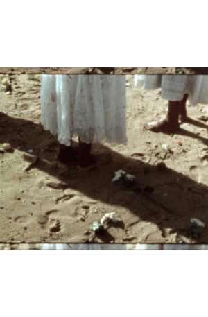 Janela (Scan)