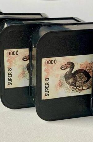 Super 8 – Dodô ISO 40 (Kodachrome)