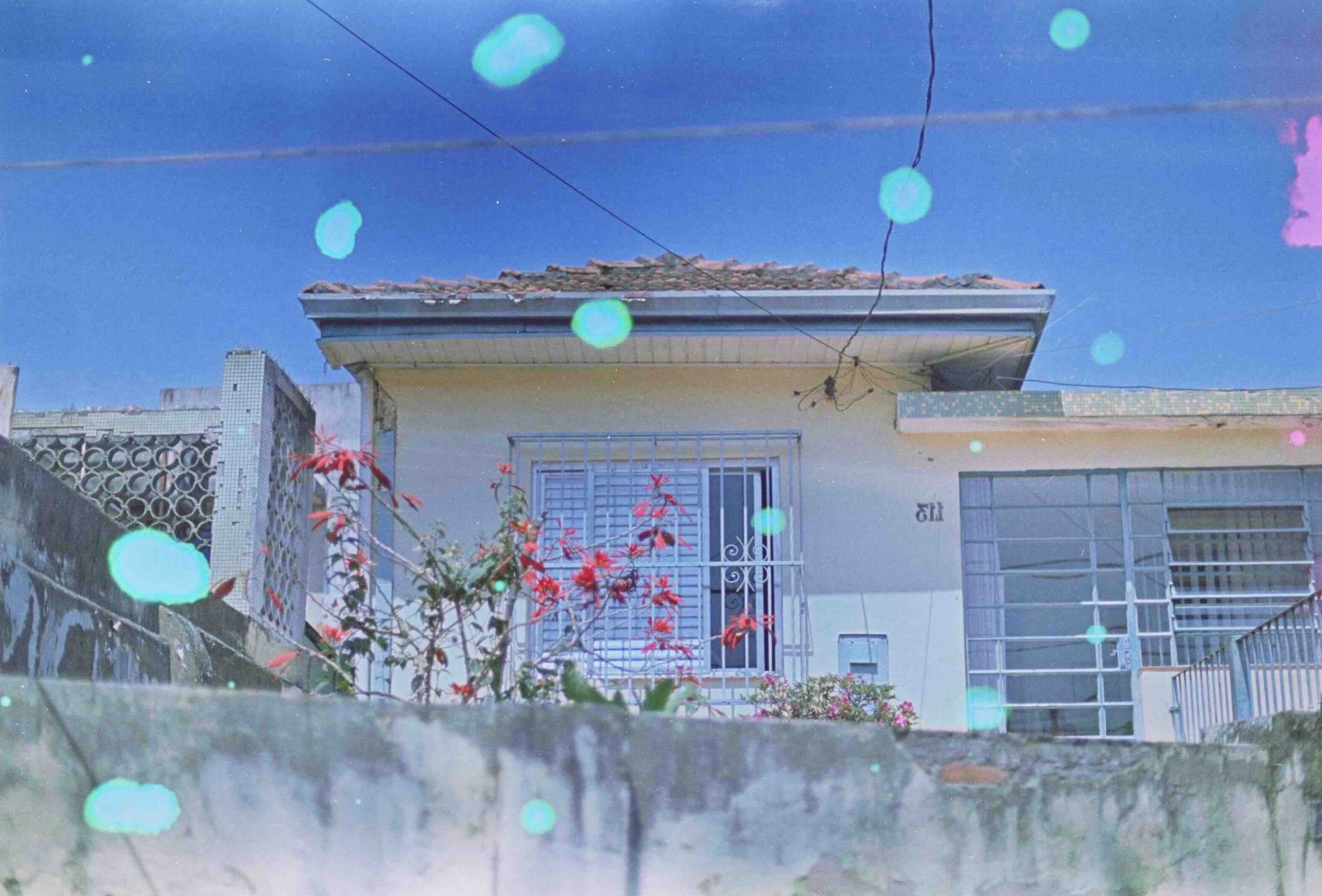 Curupira - 100 - Imagem 4